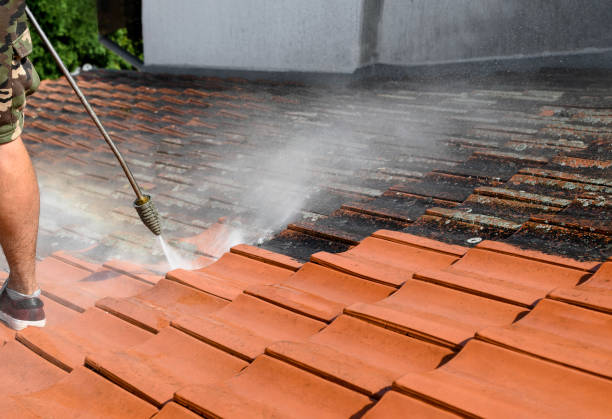 Best Roof Pressure Washing  in Monte Vista, CO