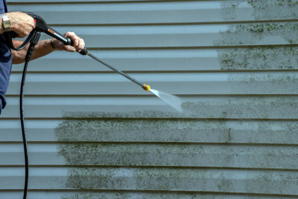 Best Pressure Washing Siding  in Monte Vista, CO