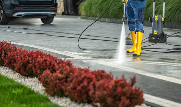 Best Roof Pressure Washing  in Monte Vista, CO