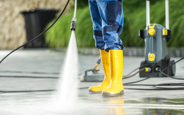 Best Exterior Home Cleaning  in Monte Vista, CO