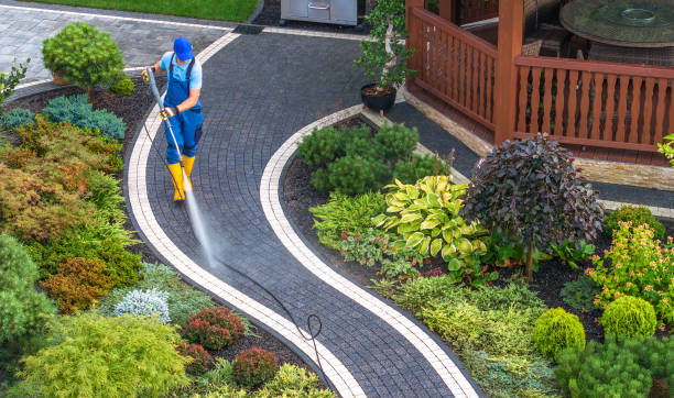  Monte Vista, CO Pressure Washing Pros