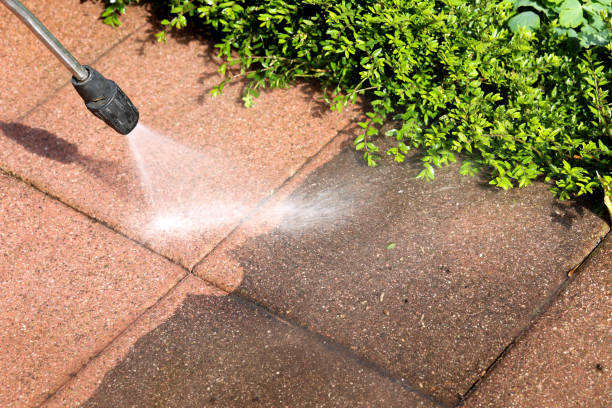 Trusted Monte Vista, CO Pressure Washing Experts