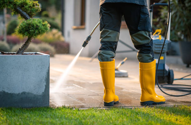 Best Concrete Pressure Washing  in Monte Vista, CO